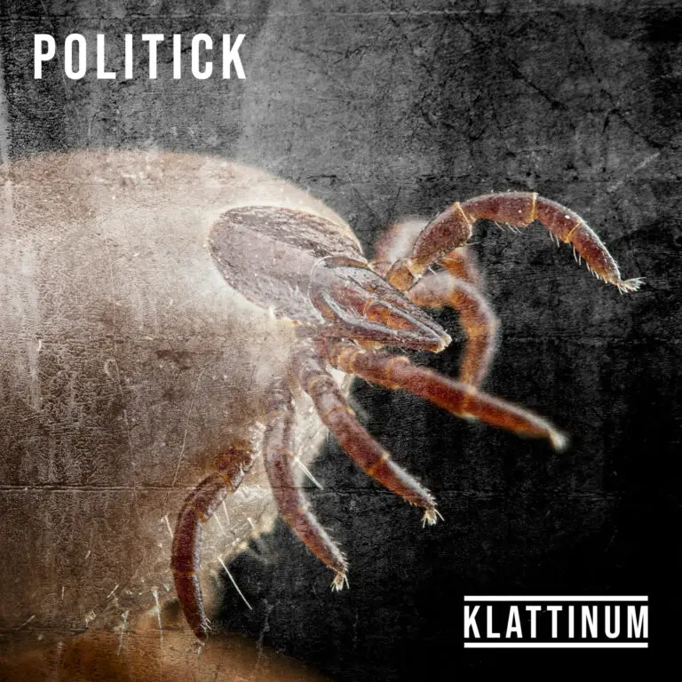 Politick (Country Version)