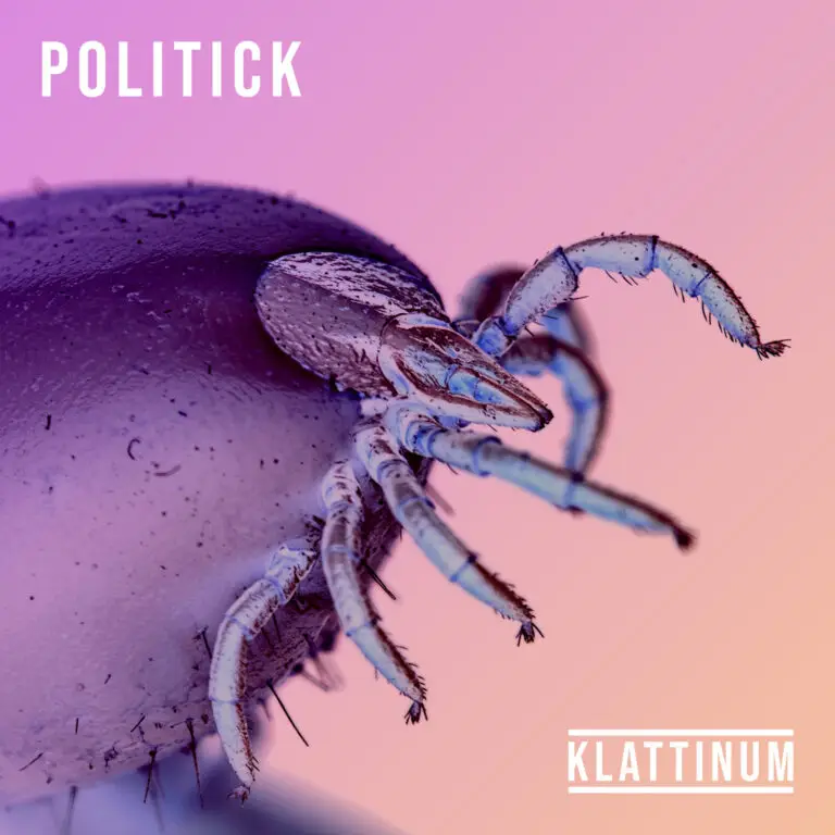 Politick (Pop Version)