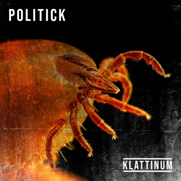 Politick (Rock Version)